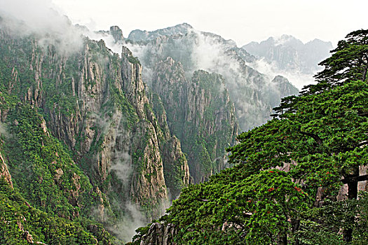 迷幻类药品商城网站C1B8D97C5-18975
